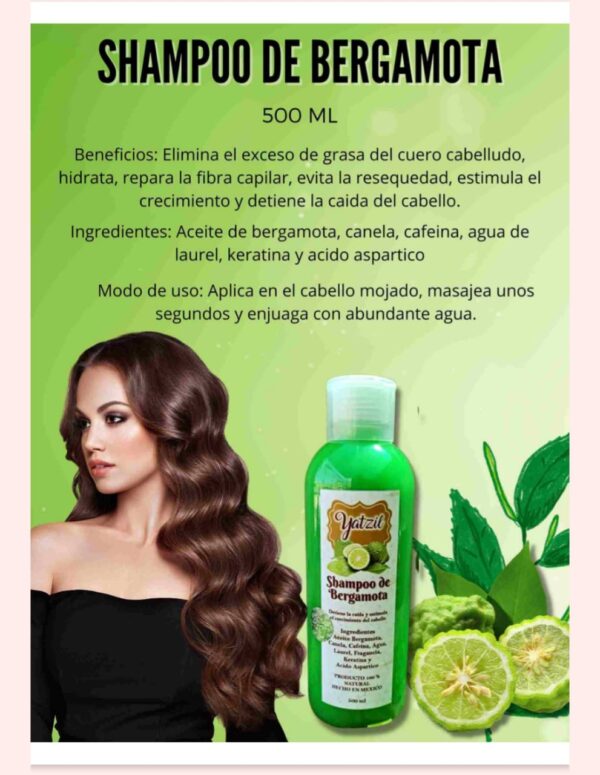 SHAMPOO DE BERGAMOTA 500ml
